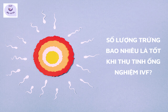 Số lượng trứng bao nhiêu là tốt khi thụ tinh ống nghiệm IVF?