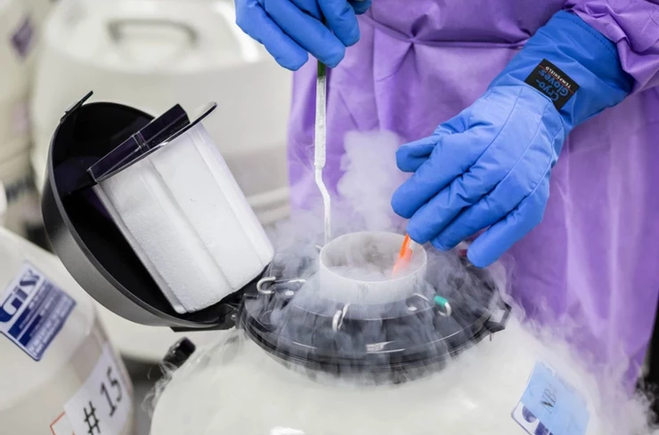 Trữ đông trứng