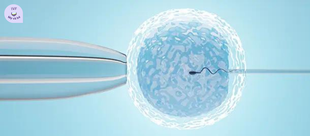 Trung tâm Hỗ trợ Sinh sản & Phòng khám IVF