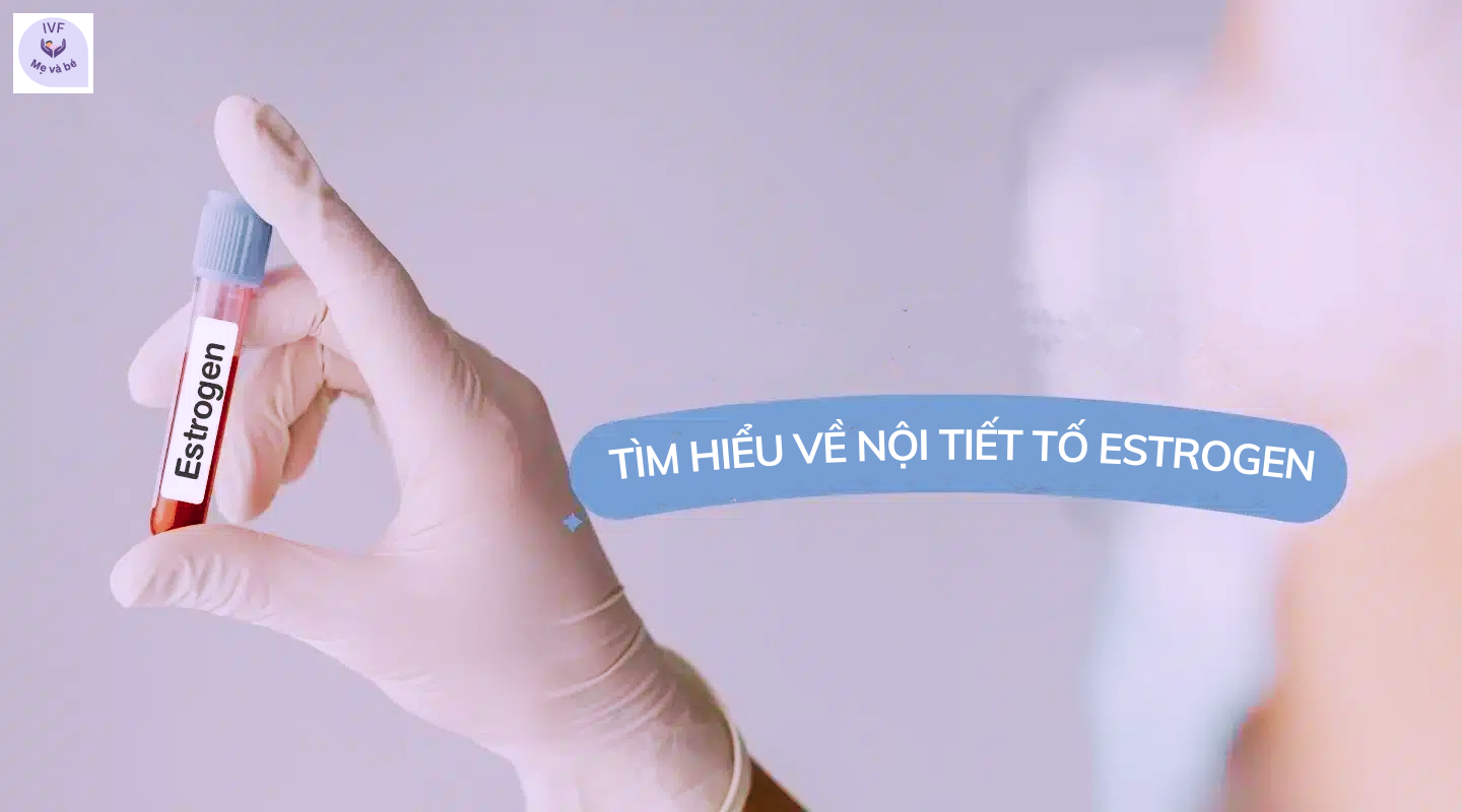Estrogen một hormone quan trọng đối với phụ nữ và các bà mẹ