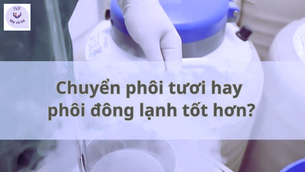 Chuyển phôi tươi hay  phôi đông lạnh tốt hơn?