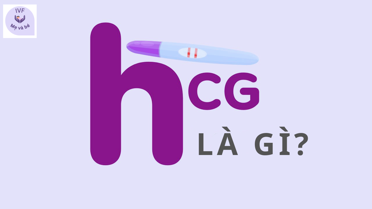 Giá trị hCG là gì?