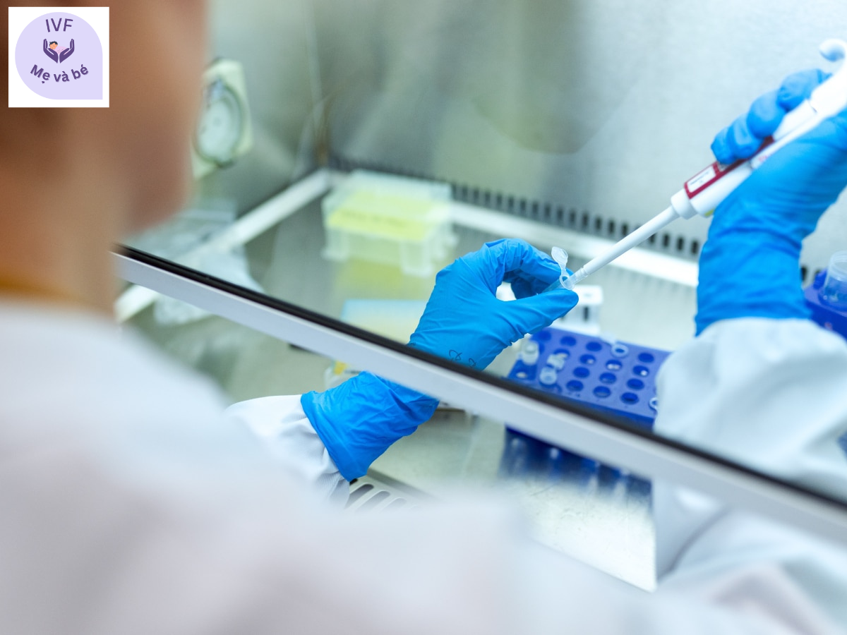 MACS giúp thụ tinh trong ống nghiệm hiệu quả như thế nào?