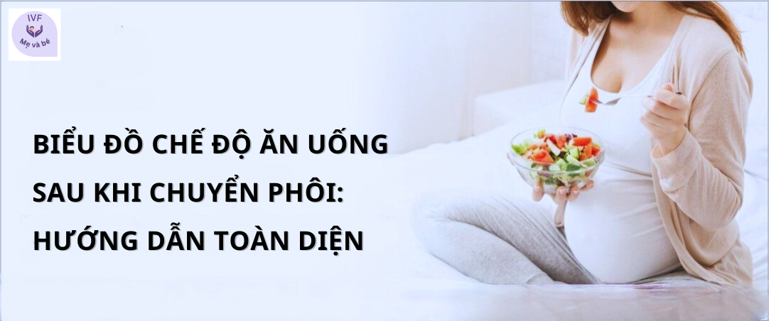 Biểu đồ chế độ ăn uống sau khi chuyển phôi: Hướng dẫn toàn diện