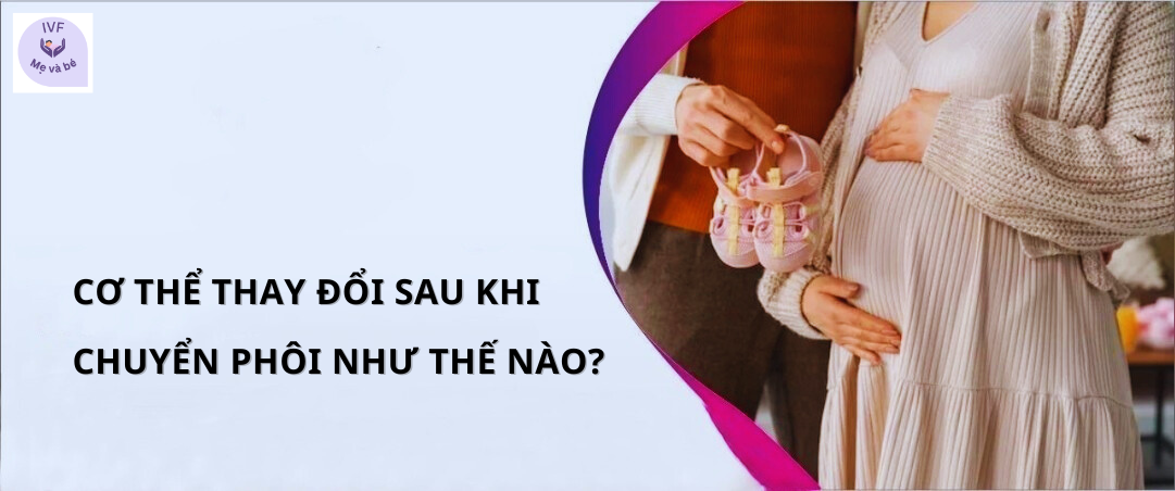 Cơ thể thay đổi sau khi chuyển phôi như thế nào?