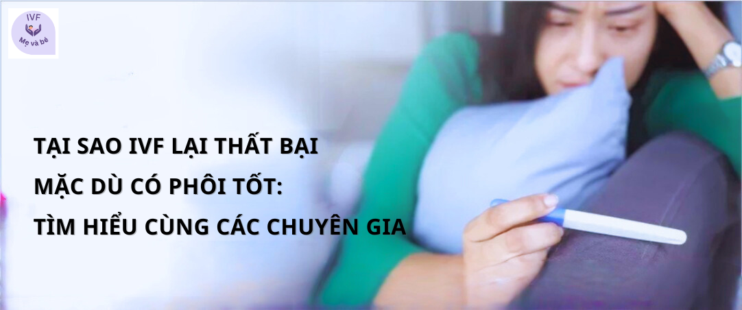 Tại Sao IVF Lại Thất Bại Mặc Dù Có Phôi Tốt : Tìm Hiểu Cùng Các Chuyên Gia