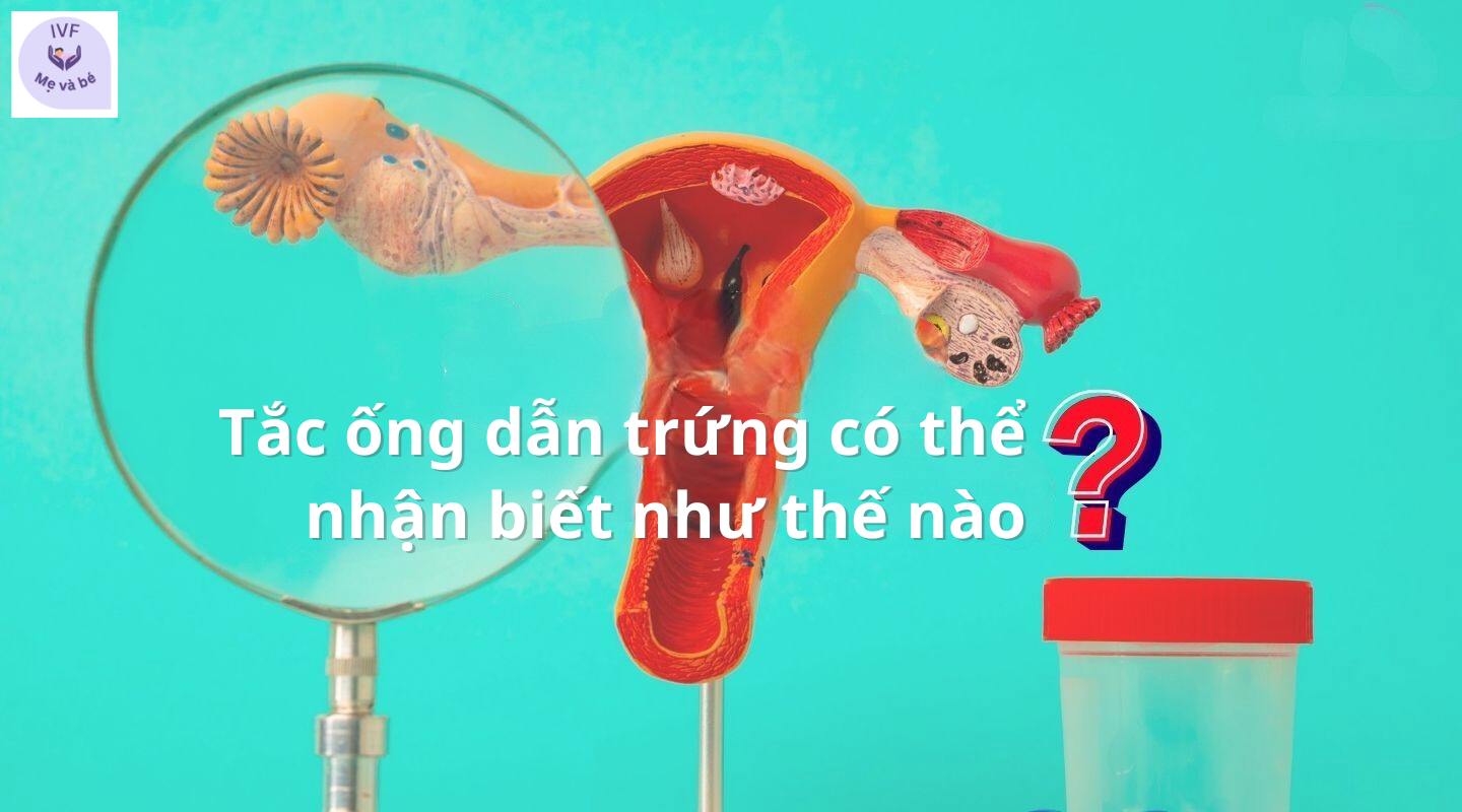 Tắc ống dẫn trứng có thể nhận biết như thế nào?