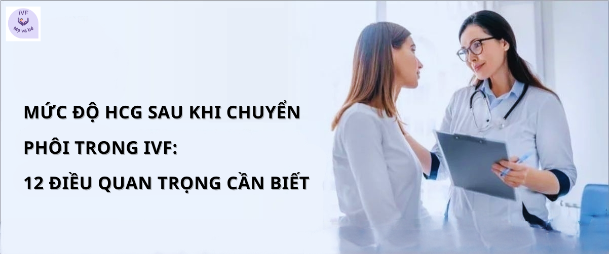 Mức độ HCG sau khi chuyển phôi trong IVF: 12 điều quan trọng cần biết
