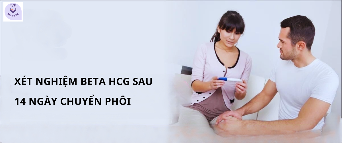 Xét nghiệm beta hCG sau 14 ngày chuyển phôi