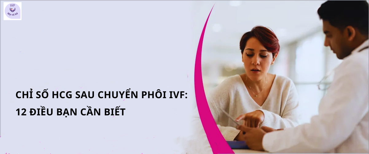 Chỉ Số hCG Sau Chuyển Phôi IVF: 12 Điều Bạn Cần Biết