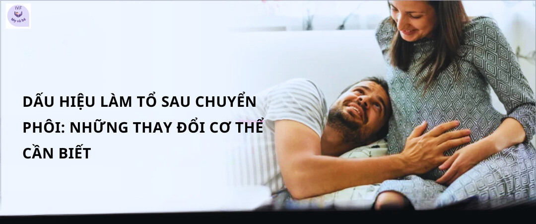 Dấu Hiệu Làm Tổ Sau Chuyển Phôi: Những Thay Đổi Cơ Thể Cần Biết